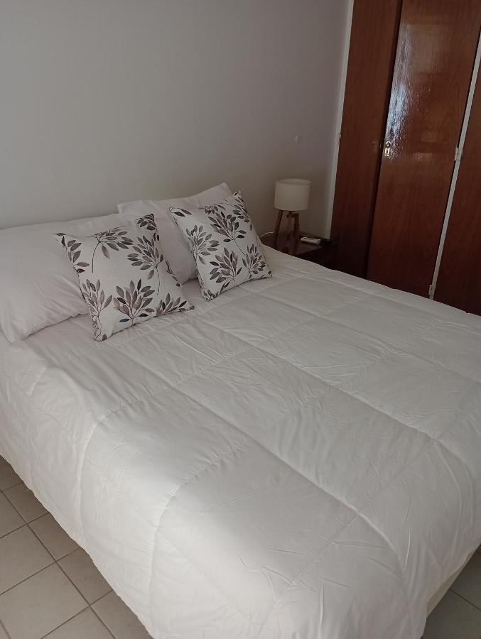 Departamento Belgrano Apartment Mendoza Ngoại thất bức ảnh